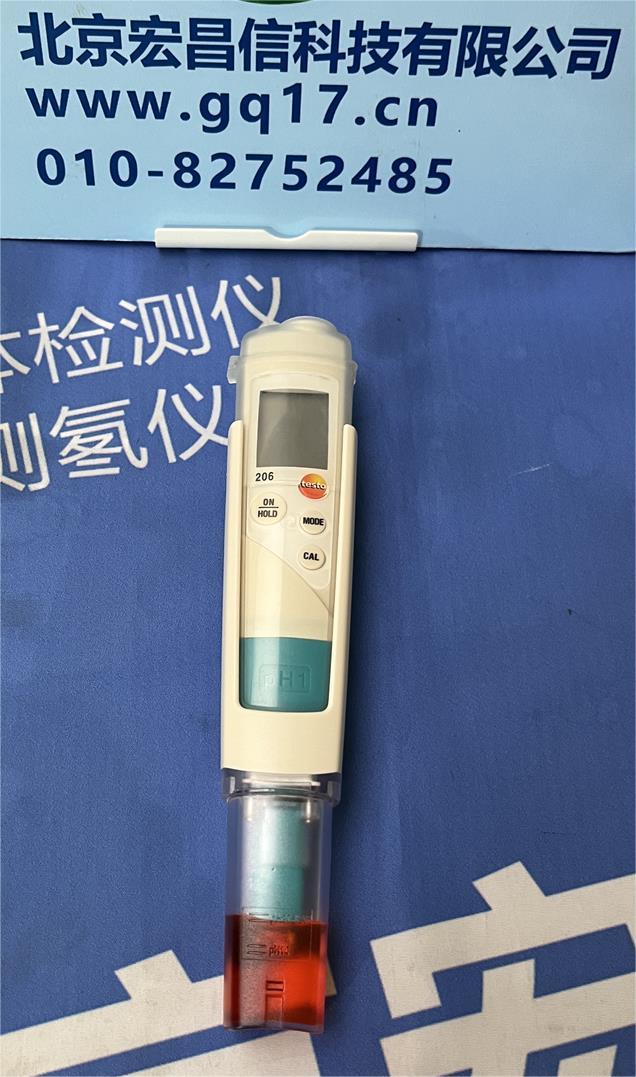 德图 testo 206-pH1 - pH酸碱度/温度测量仪，适用于液体